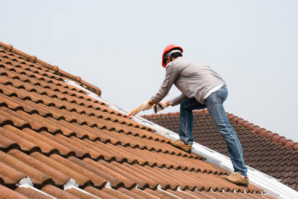 Roof Insulation